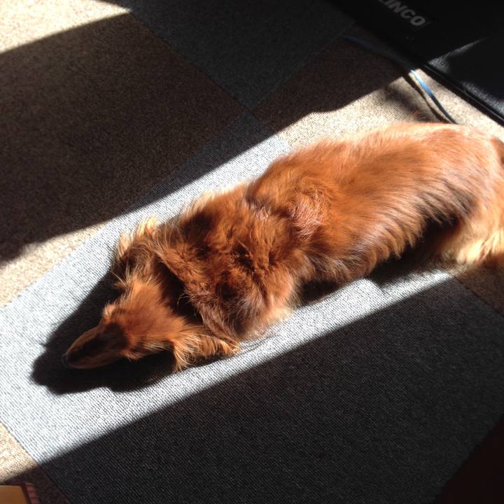 65341d98 8614 4fcf 85e6 7728a20aec77