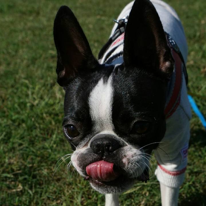 65348d01 9a67 493a bf45 ad132e20454f