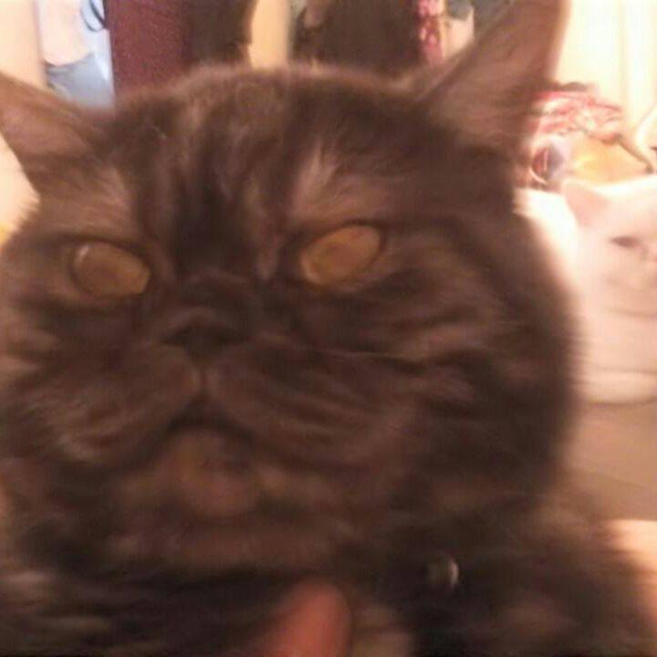 6534af52 efaa 4c34 a100 31f4f5f76a73