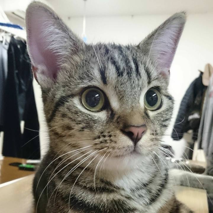 6534c5cb 137e 40ad 81d7 0f86017d956b