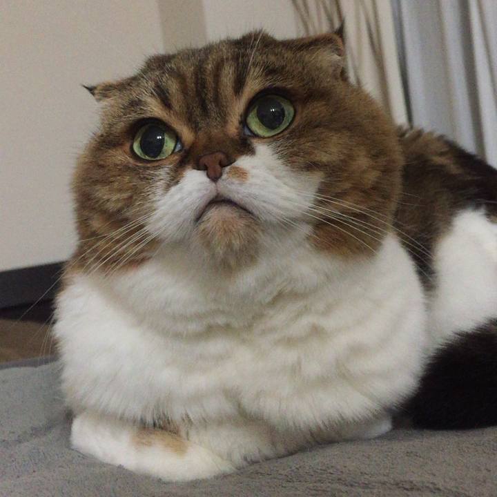 6534f7a0 5546 4d85 9b39 6ffaff846371