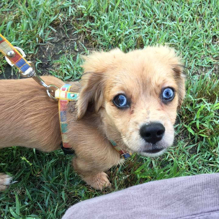 6535a117 aa35 40c8 b63f 0054490f72fb