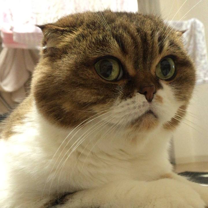 65360fd7 bb1a 4999 93cf 5c412c054fa4