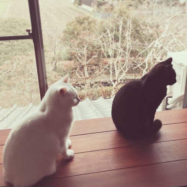 65364df0 4288 4da7 9708 53ffbb09a6fb