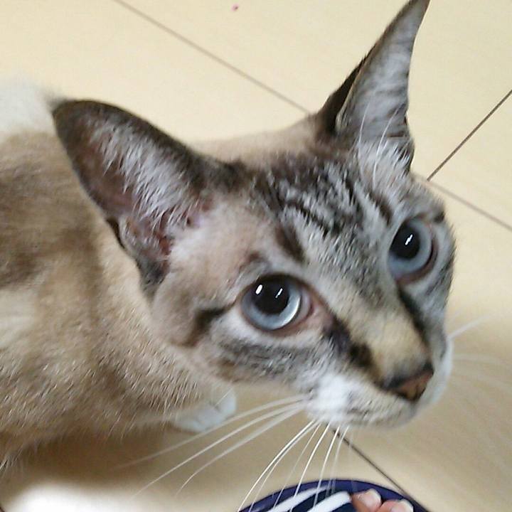 6536696d 8e35 457a b917 078b2f21069a