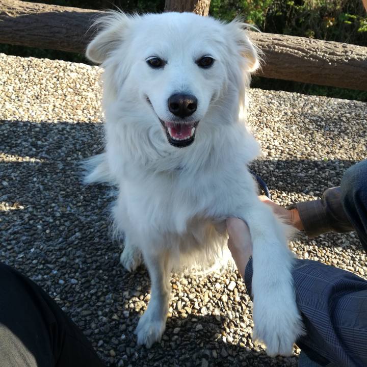 65372044 2906 4f07 8327 33d2683f2ce0