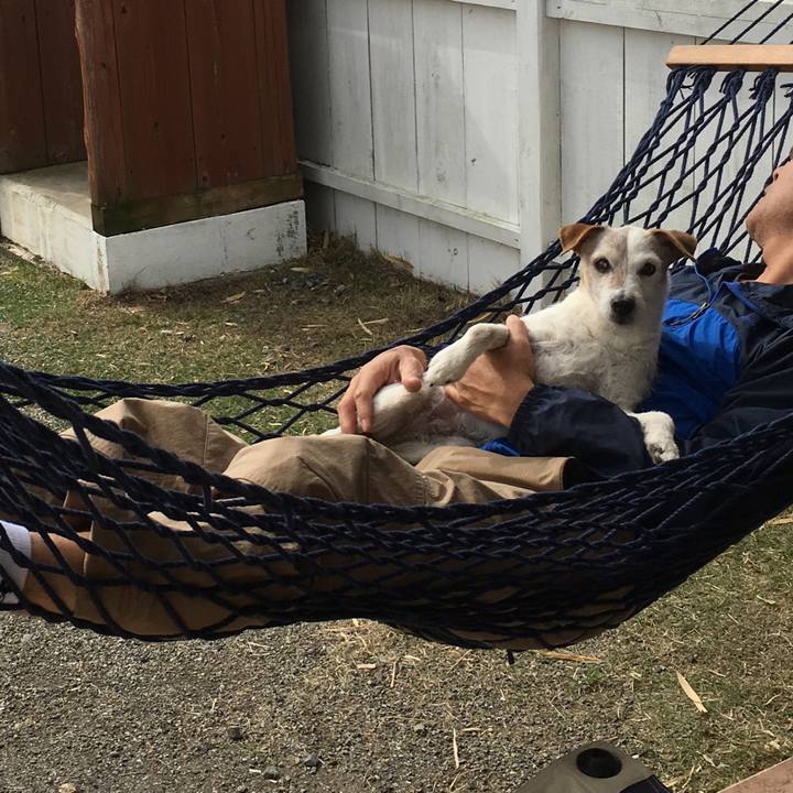 653817d6 7861 45dc 9464 253f29de217c