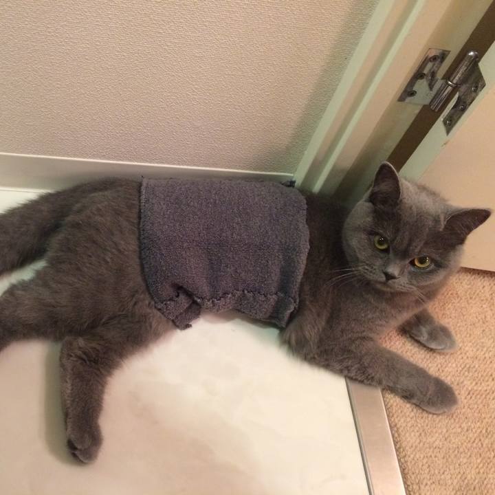 65390296 1fb9 4ff9 a401 6b7bc91d23af