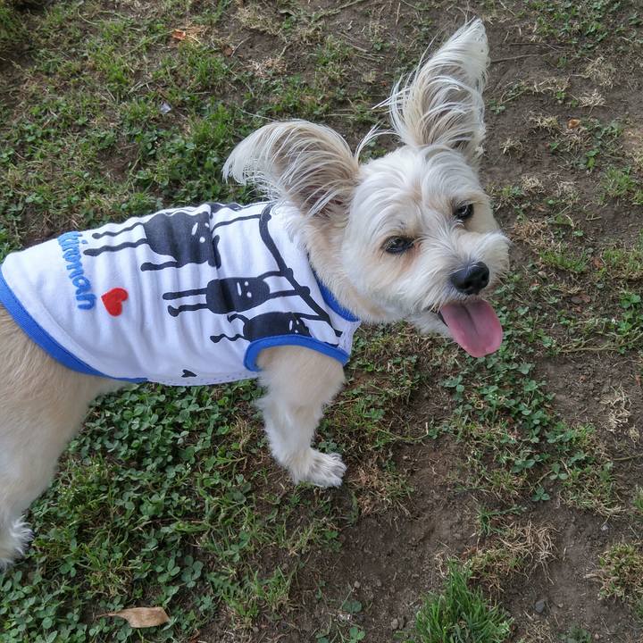 6539527a 0bf5 451d 91d1 f9afee2cb217