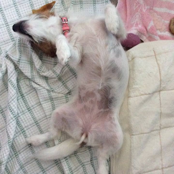 65395340 7f0f 42bb b173 73af157c5251