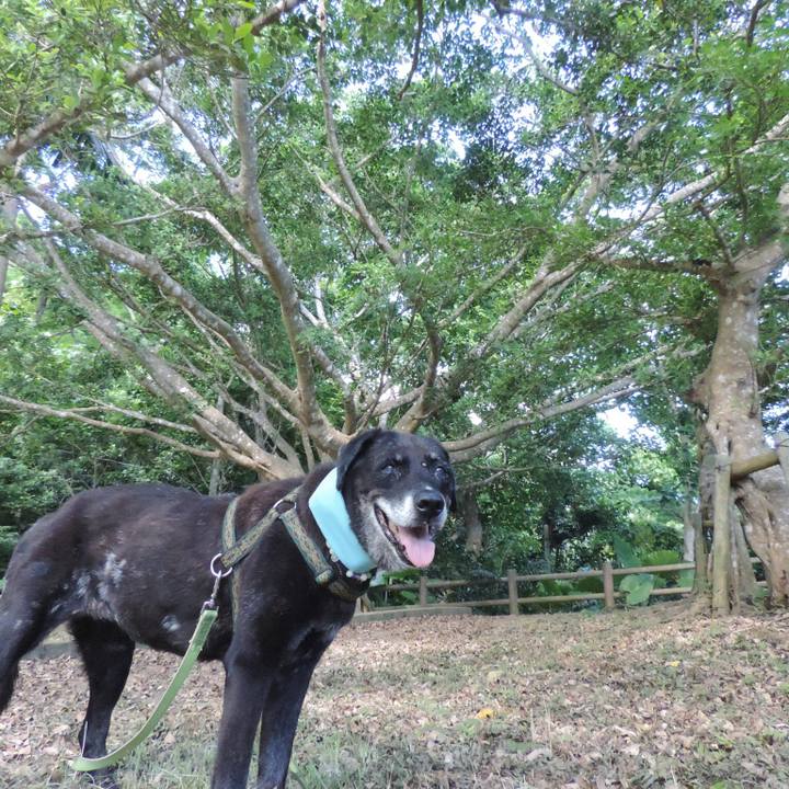 6539e141 6623 4aa8 ad50 31954ae9d25b