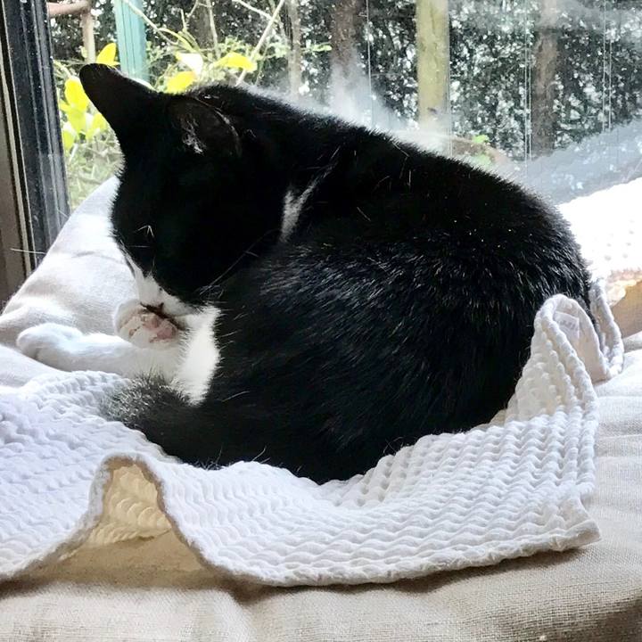 6539ffe0 3b51 4468 ab77 34167592b13b