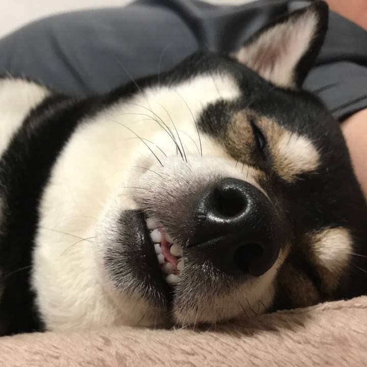 653a34bb 4090 4846 bb06 0d3cf54f81f1