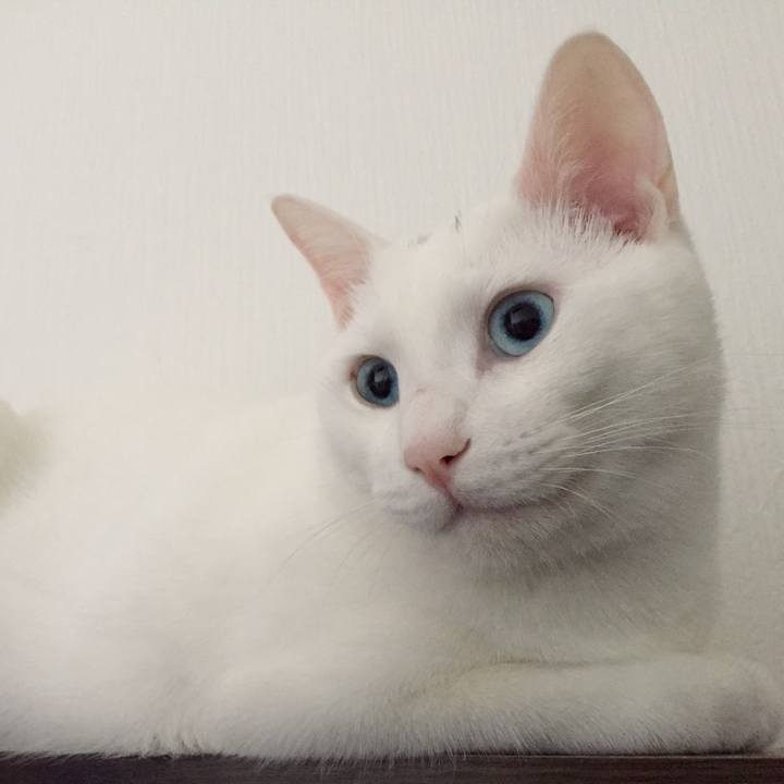 653a55ec b75e 4f2d 9abd cee6fc9e2d69