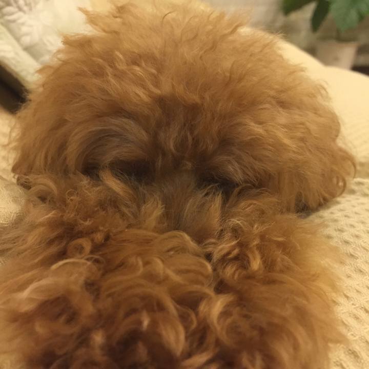 653af8fd bfb4 450e 8a2b 054e2c5b6a9d