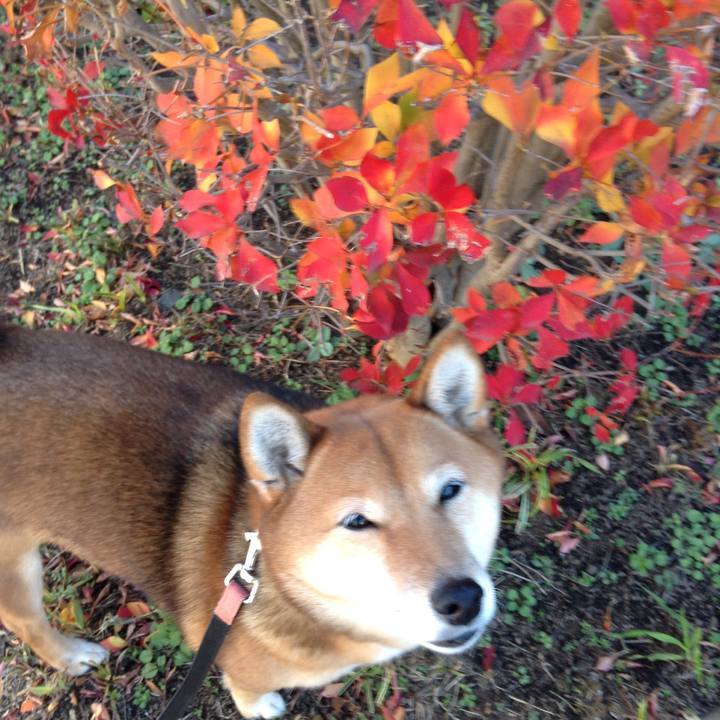 653b24e6 a76b 4a86 b604 01f33c809f78