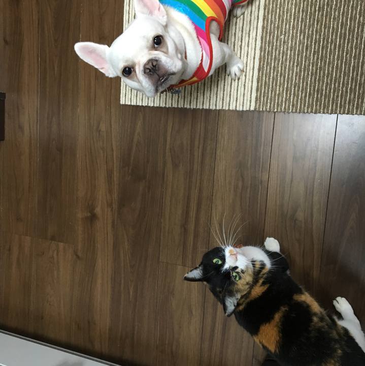 653b2a84 f619 4bc4 95ba 3415cefc85a3