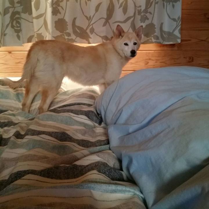 653bcfb9 cf19 4cc7 b4b5 f2c4071d09b7