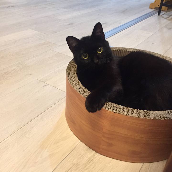 653d1185 187f 4500 be7b 9fa16f490e9d