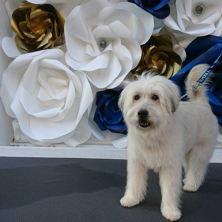 653d9b01 954c 4fb6 a8da 90a47d38d40c