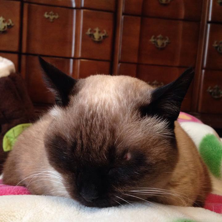 653dc4cb de5f 4184 a91b 1813a200b624