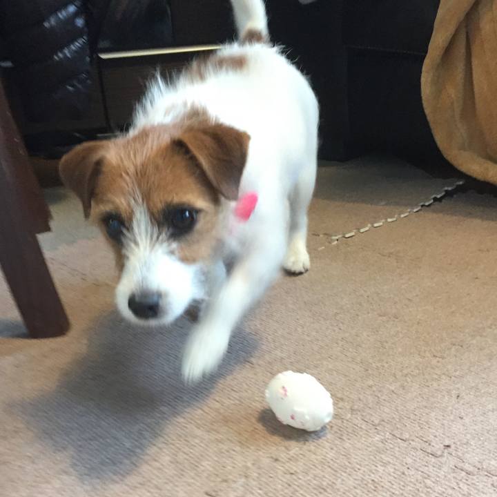 653e1afc 0f7f 467c a573 90af354bfe38