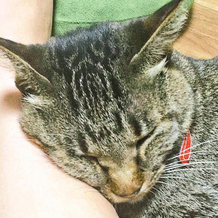 653e39ab f1a2 4231 af0a ec40f4b4d21b