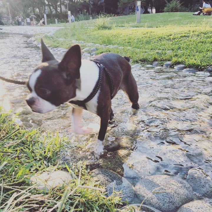 653e64c7 819b 4c6e 8707 57f08bb1cd5b