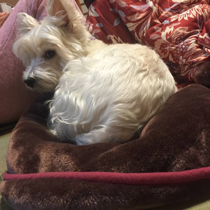 653f55b1 4407 49e0 af28 2668e08a63e2