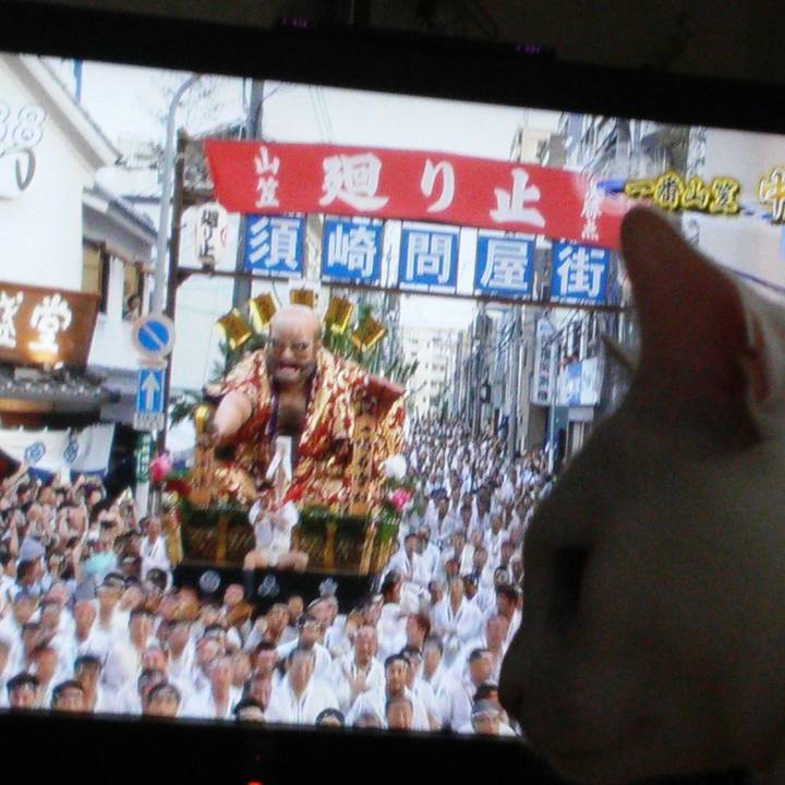 65401537 81f0 446a b83c bcdef7ffc6a1