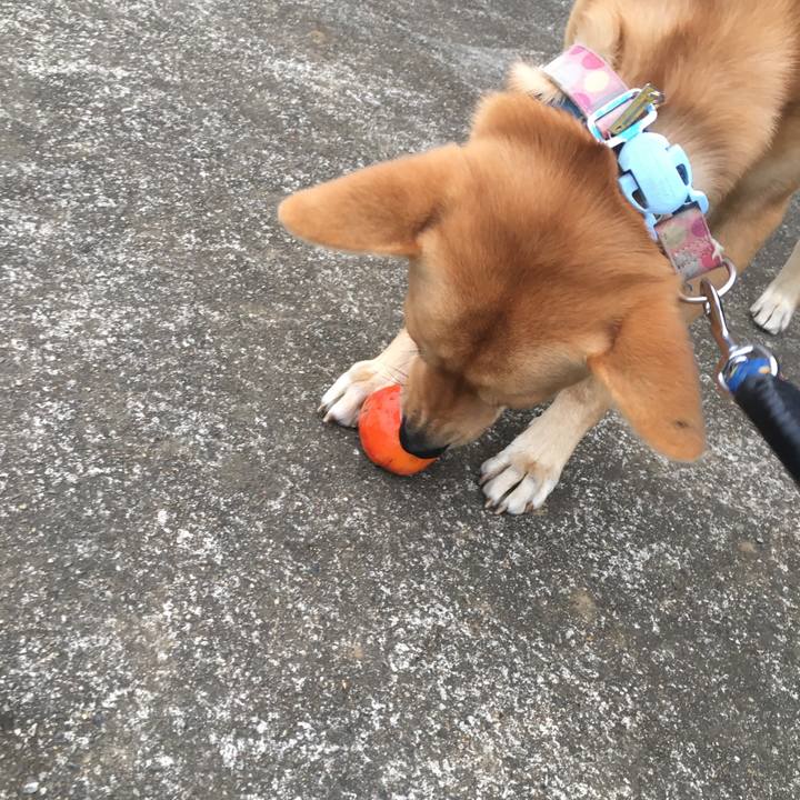 6540401a a5d8 4055 968a ba8d9774f47e