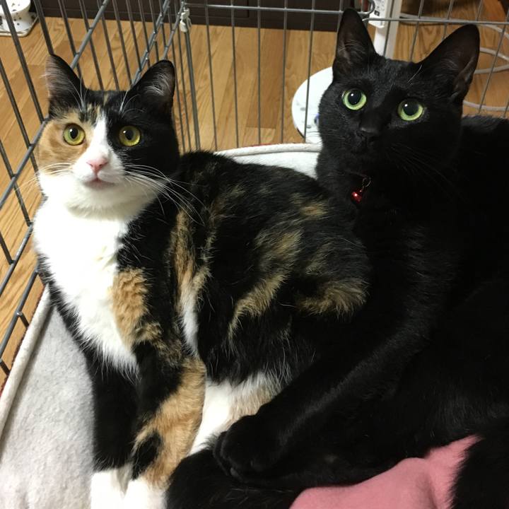 65408532 de74 479c 966e 57eec423716c