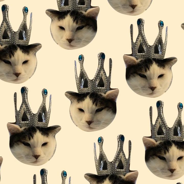 654100cf 8264 43ff aeea a875d6f46eae