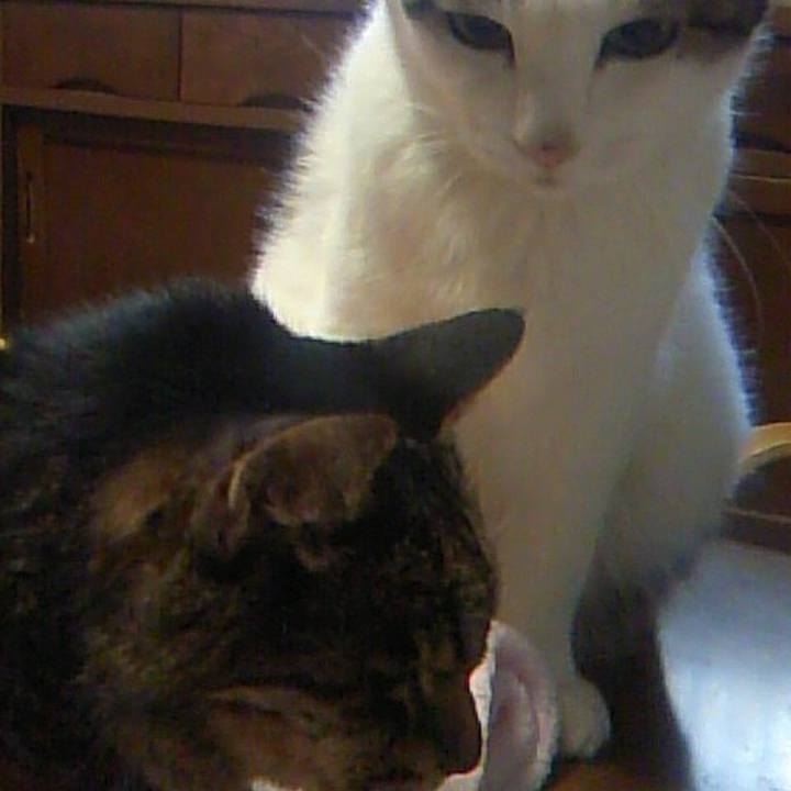 65413ef7 b5b6 490c 84d9 7fa8c2fd8716