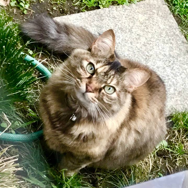 654171fa a40d 4e56 a6c2 b888bd08aa74