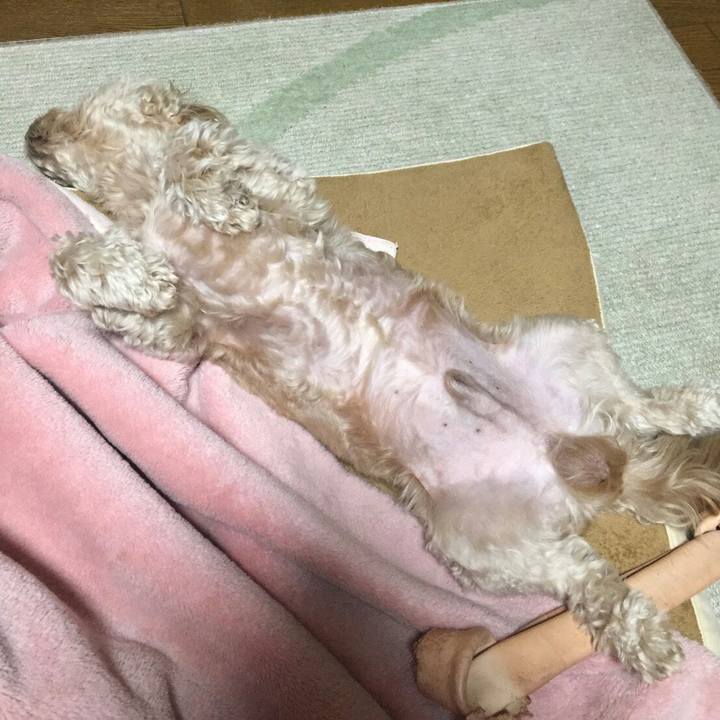 6541b7d8 fd24 4fcf 9768 71164160e32b