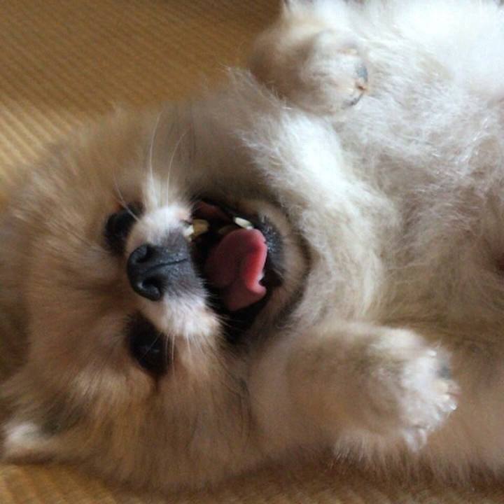 6541d299 2e98 445c 9205 4a917f48d016