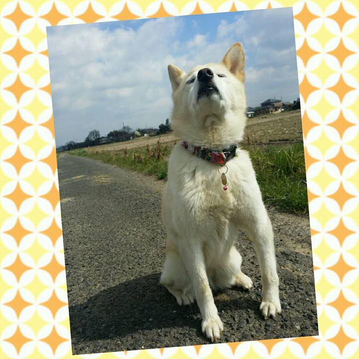 65428c21 a5e5 4aa9 9341 f01b022f51d9