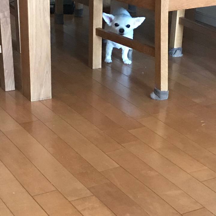 6543342d 0b80 476e 8bdc b8b9e38aea8d