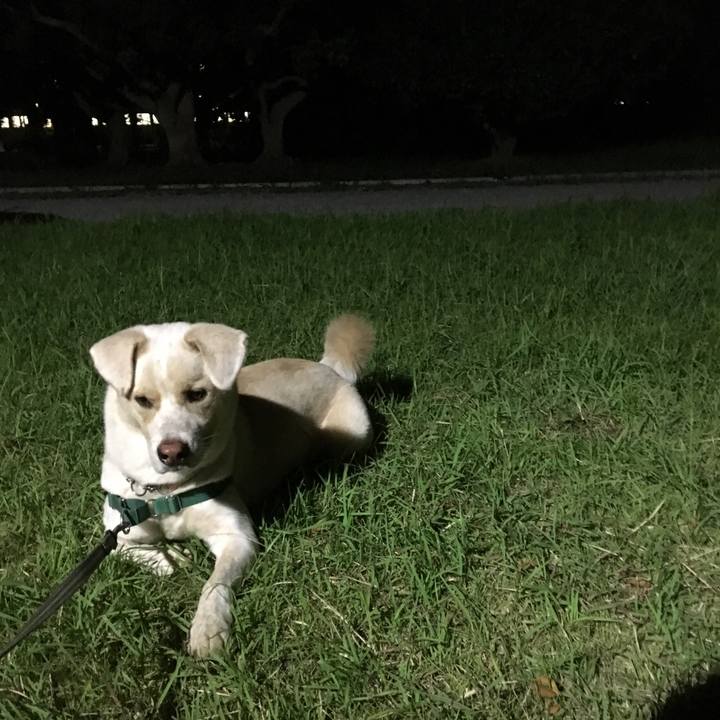 6544652d a1e4 4179 b555 ef472475f3be