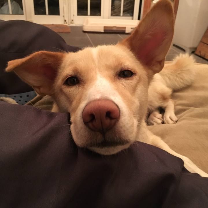 6544b7a3 fc13 4f48 ac9e 8676b6c7db55