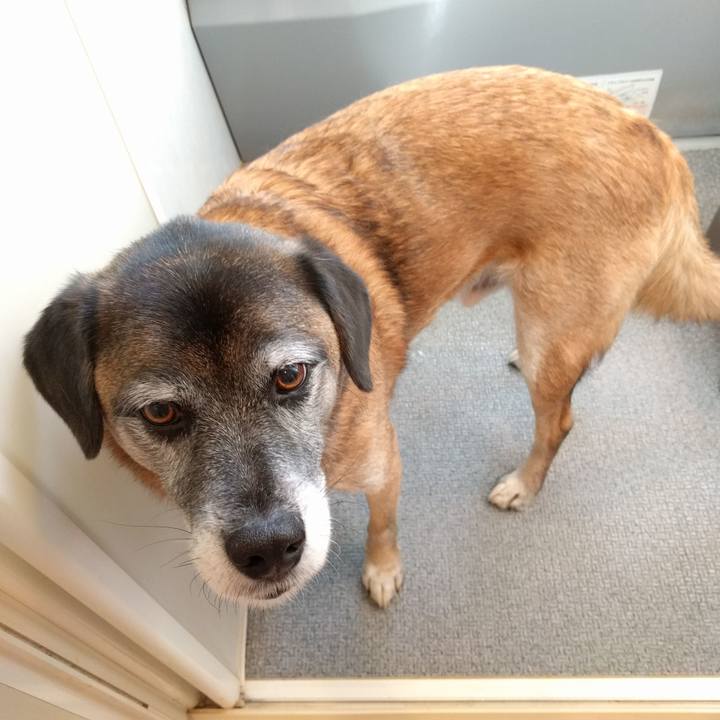 6545200a 9cb3 4351 b69e e38752130d32