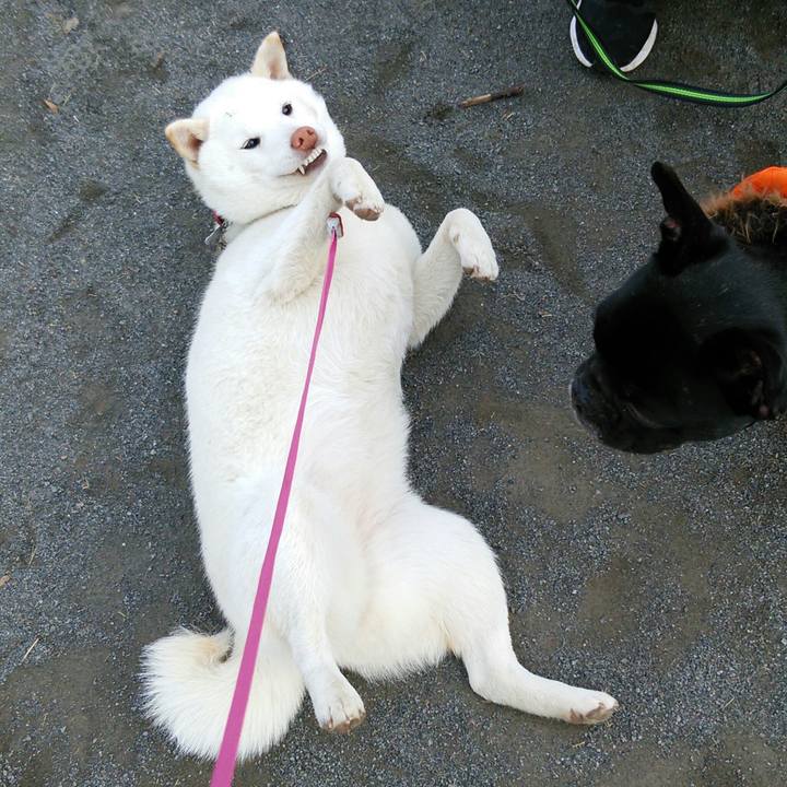 6545dcf3 99c9 449d 8671 f14a08be3380