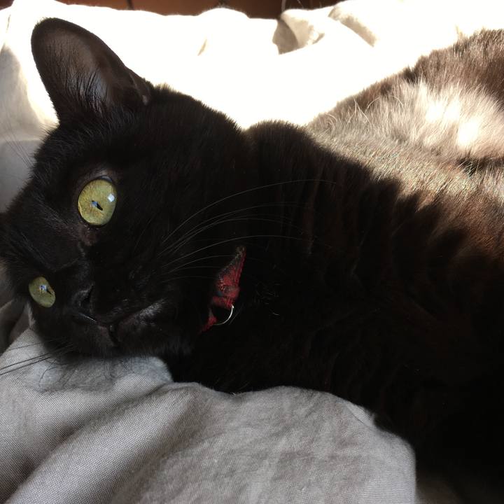 65461a10 81c8 42b4 9b46 434048e94fc9