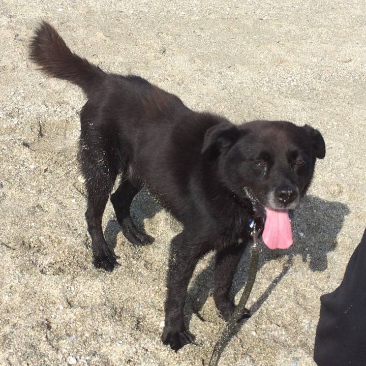 6546722c 52a5 4ffe 9af2 96ae6bad9aaa