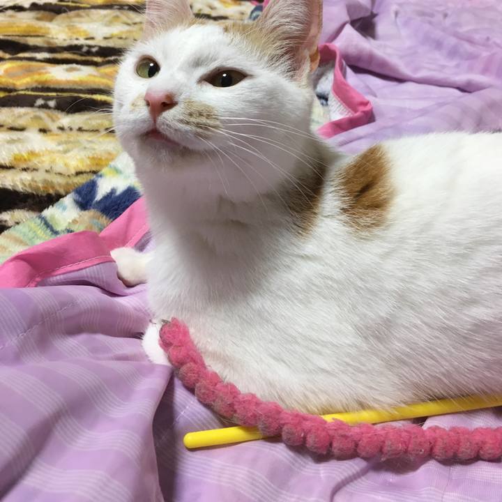 6546b010 995a 407b a48e 81b5d358dd60