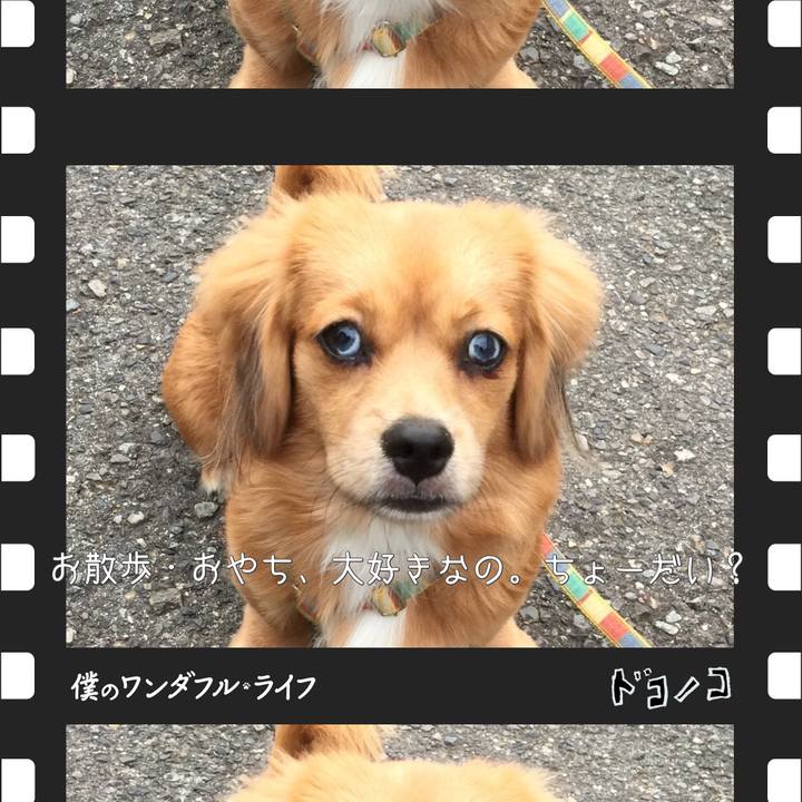 6546c27b 7a49 4cb5 ad27 3182c7b36d76