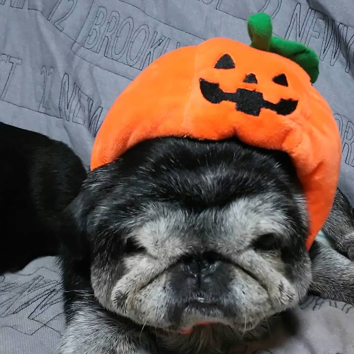 6546d110 68d7 4193 8f84 606960248aa3