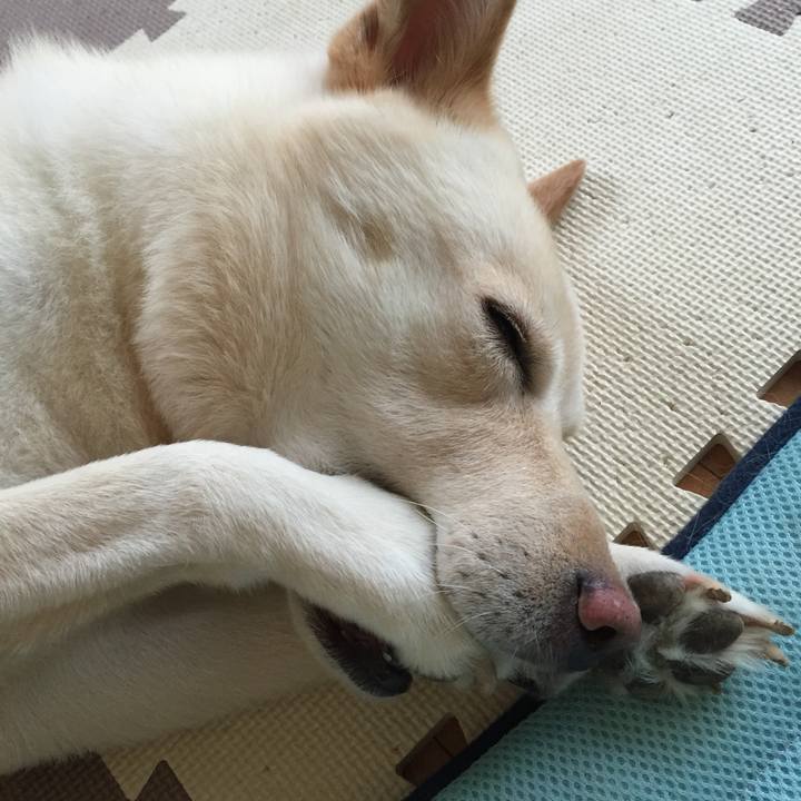 6548829f 63b2 47f7 86ac b0c9496db046