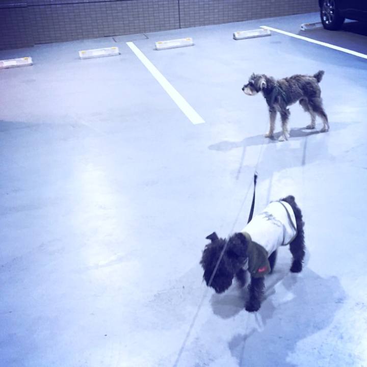 65488cb4 8763 4a8e a2ee e60fb1a9bd4c